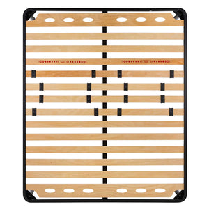 Bed network with regulators with Activa iron frame