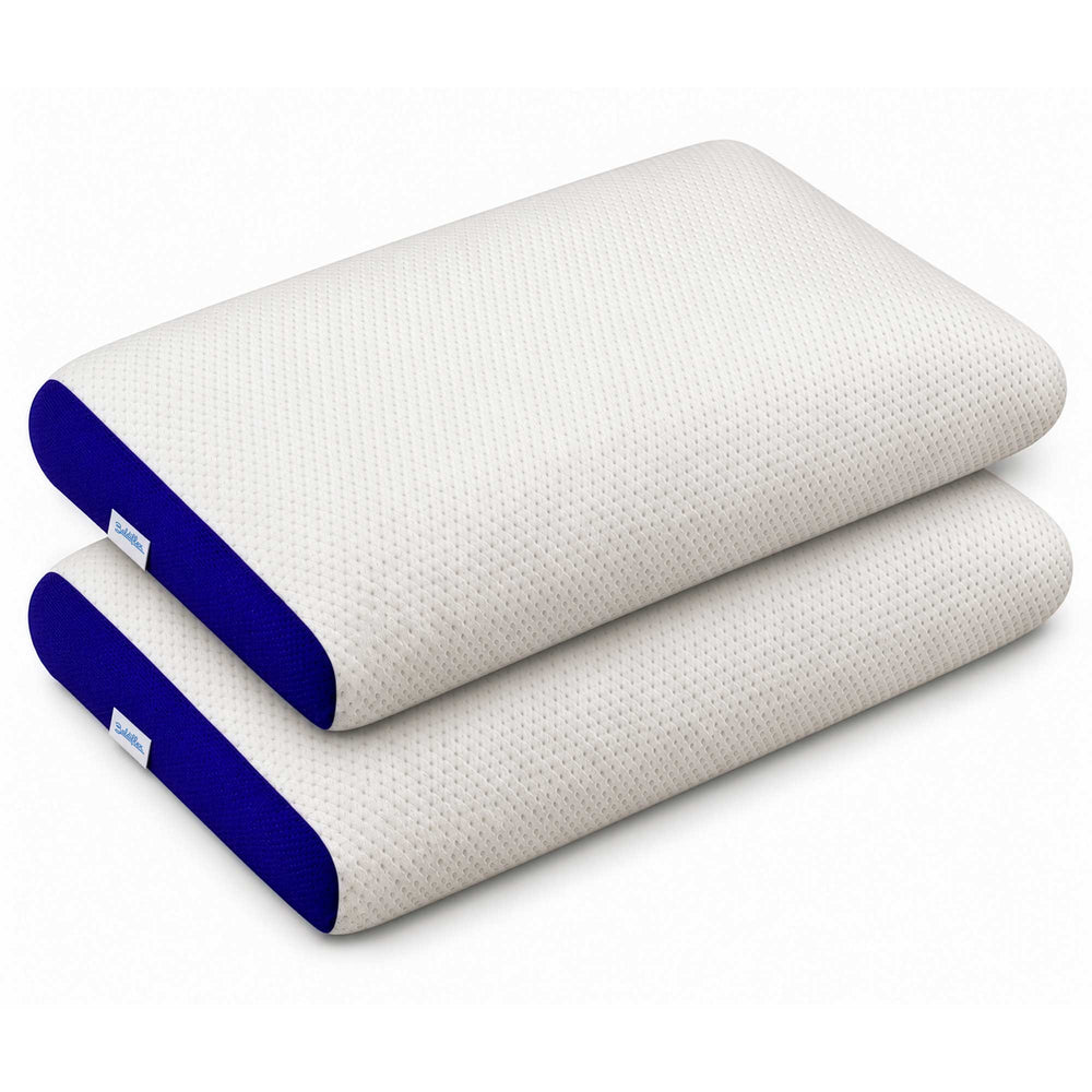Pair of memory Bros. pillows