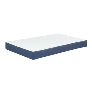 Cuccia cani da interno Bignè Cuccioletti