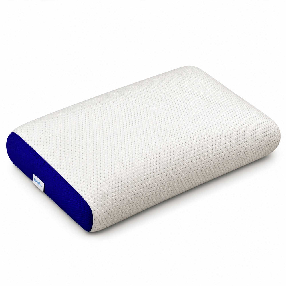 Memory Bros. pillow