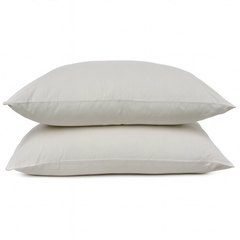 Pair of natural fiber pillows