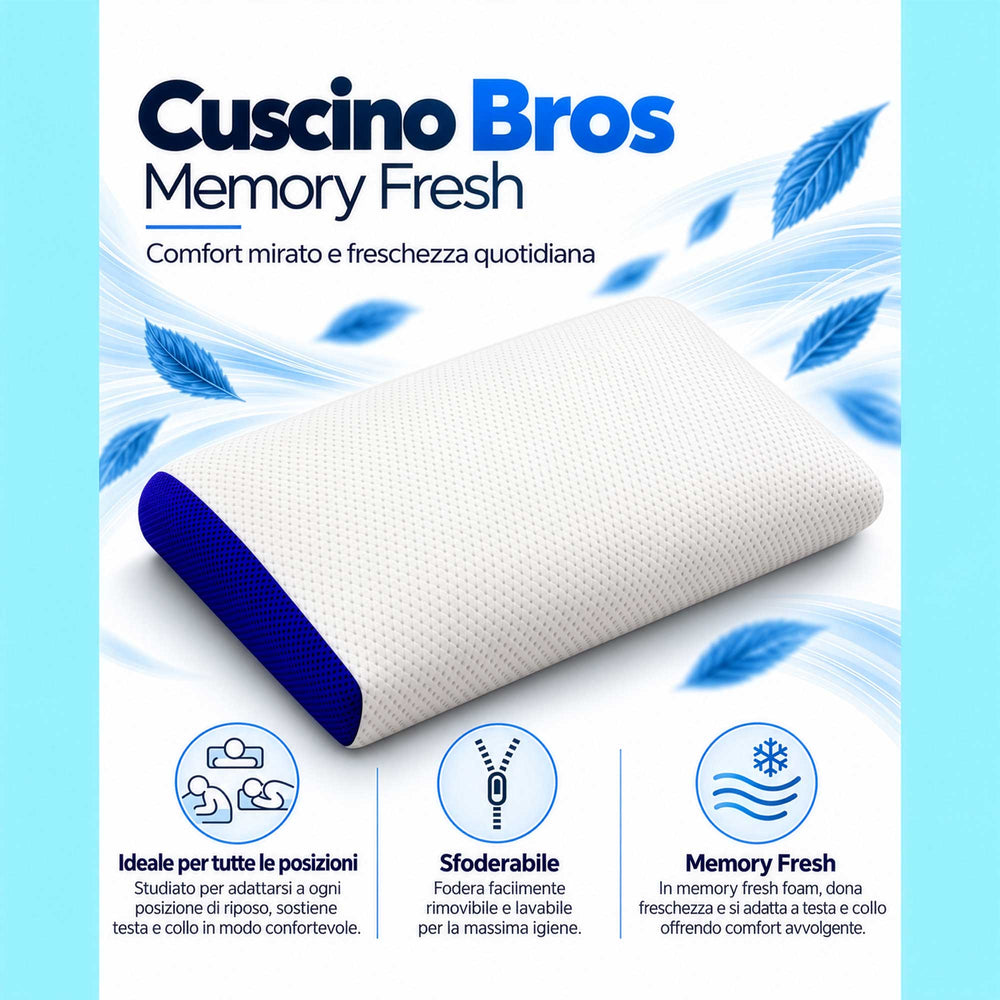 Pair of memory Bros. pillows